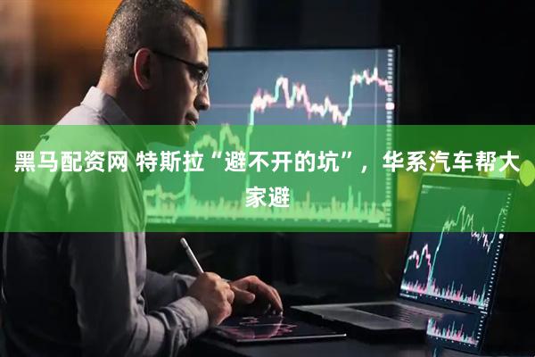 黑马配资网 特斯拉“避不开的坑”，华系汽车帮大家避